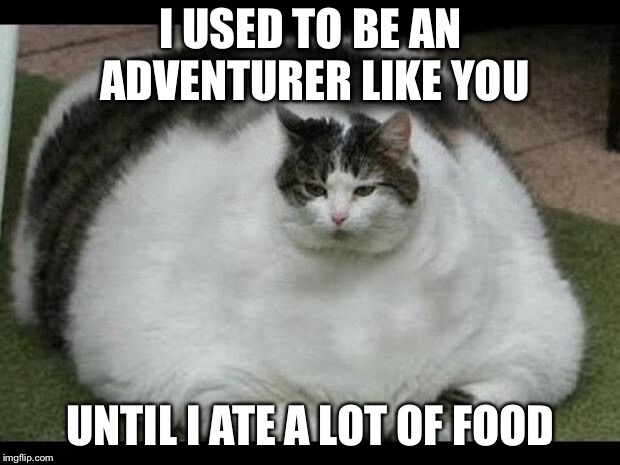 fat cat 2 | I USED TO BE AN ADVENTURER LIKE YOU; UNTIL I ATE A LOT OF FOOD | image tagged in fat cat 2 | made w/ Imgflip meme maker