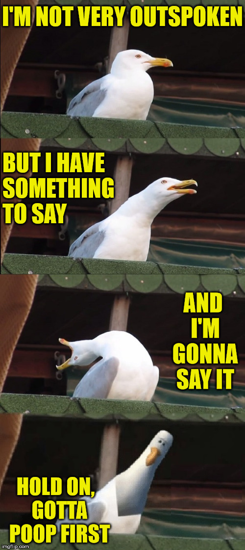 Inhaling Seagull | I'M NOT VERY OUTSPOKEN; BUT I HAVE    SOMETHING     TO SAY; AND I'M GONNA SAY IT; HOLD ON,   GOTTA   POOP FIRST | image tagged in inhaling seagull,memes,out,say,something,hold on | made w/ Imgflip meme maker