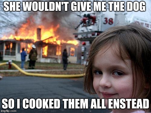 Disaster Girl | SHE WOULDN'T GIVE ME THE DOG; SO I COOKED THEM ALL INSTEAD | image tagged in memes,disaster girl | made w/ Imgflip meme maker