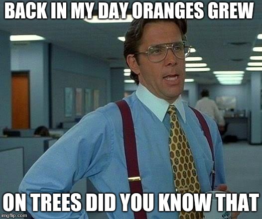 That Would Be Great | BACK IN MY DAY ORANGES GREW; ON TREES DID YOU KNOW THAT | image tagged in memes,that would be great | made w/ Imgflip meme maker