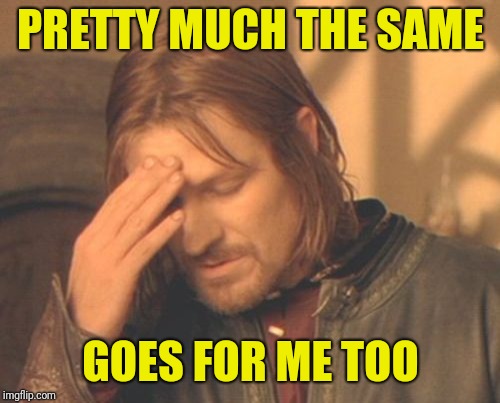 Frustrated Boromir Meme | PRETTY MUCH THE SAME GOES FOR ME TOO | image tagged in memes,frustrated boromir | made w/ Imgflip meme maker