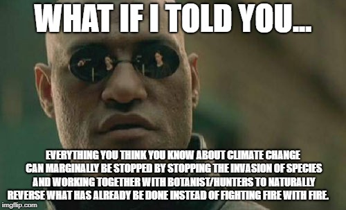 Matrix Morpheus | WHAT IF I TOLD YOU... EVERYTHING YOU THINK YOU KNOW ABOUT CLIMATE CHANGE CAN MARGINALLY BE STOPPED BY STOPPING THE INVASION OF SPECIES AND WORKING TOGETHER WITH BOTANIST/HUNTERS TO NATURALLY REVERSE WHAT HAS ALREADY BE DONE INSTEAD OF FIGHTING FIRE WITH FIRE. | image tagged in memes,matrix morpheus | made w/ Imgflip meme maker