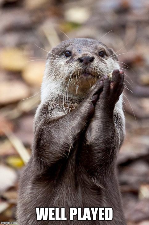 Slow-Clap Otter | WELL PLAYED | image tagged in slow-clap otter | made w/ Imgflip meme maker