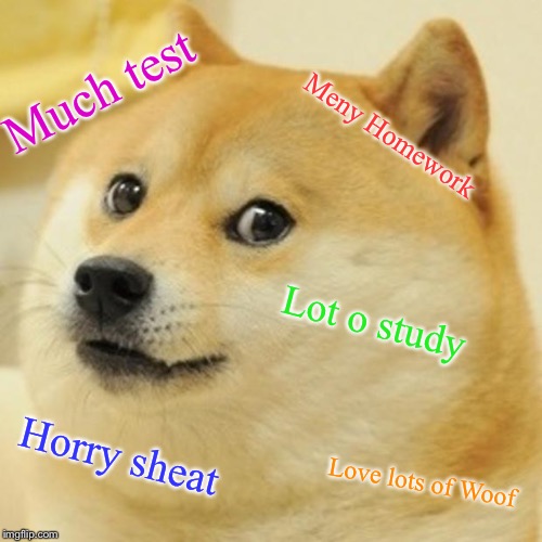 Doge | Much test; Meny Homework; Lot o study; Horry sheat; Love lots of Woof | image tagged in memes,doge | made w/ Imgflip meme maker