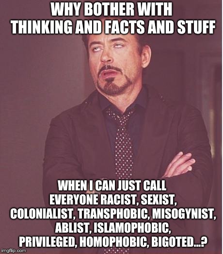 Thinking is overrated | WHY BOTHER WITH THINKING AND FACTS AND STUFF; WHEN I CAN JUST CALL EVERYONE RACIST, SEXIST, COLONIALIST, TRANSPHOBIC, MISOGYNIST, ABLIST, ISLAMOPHOBIC, PRIVILEGED, HOMOPHOBIC, BIGOTED...? | image tagged in memes,face you make robert downey jr | made w/ Imgflip meme maker