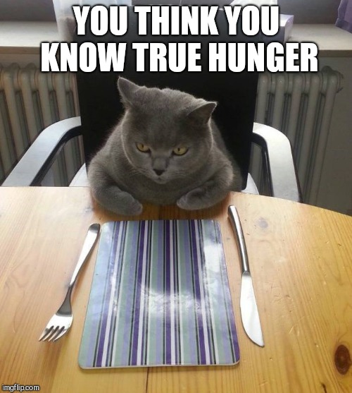 Hungry Cat Etiquette | YOU THINK YOU KNOW TRUE HUNGER | image tagged in hungry cat etiquette | made w/ Imgflip meme maker