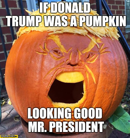 Trumpkin | IF DONALD TRUMP WAS A PUMPKIN; LOOKING GOOD MR. PRESIDENT | image tagged in donald trump pumpkin,memes,donald trump | made w/ Imgflip meme maker