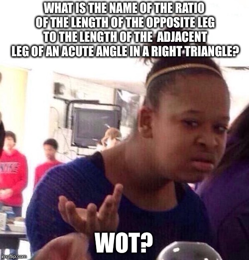 Black Girl Wat Meme | WHAT IS THE NAME OF THE RATIO OF THE LENGTH OF THE OPPOSITE LEG TO THE LENGTH OF THE 
ADJACENT LEG OF AN ACUTE ANGLE IN A RIGHT TRIANGLE? WOT? | image tagged in memes,black girl wat | made w/ Imgflip meme maker
