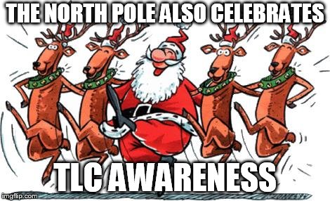 Christmas Zumba | THE NORTH POLE ALSO CELEBRATES; TLC AWARENESS | image tagged in christmas zumba | made w/ Imgflip meme maker