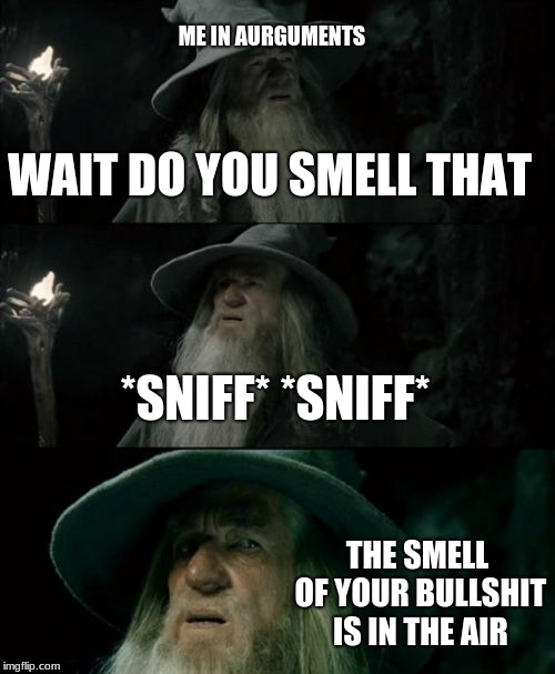 Confused Gandalf | ME IN ARGUMENTS; WAIT DO YOU SMELL THAT; *SNIFF* *SNIFF*; THE SMELL OF YOUR BULLSHIT IS IN THE AIR | image tagged in memes,confused gandalf | made w/ Imgflip meme maker