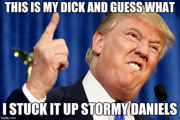 Donald Trump | THIS IS MY DICK AND GUESS WHAT; I STUCK IT UP STORMY DANIELS | image tagged in donald trump | made w/ Imgflip meme maker