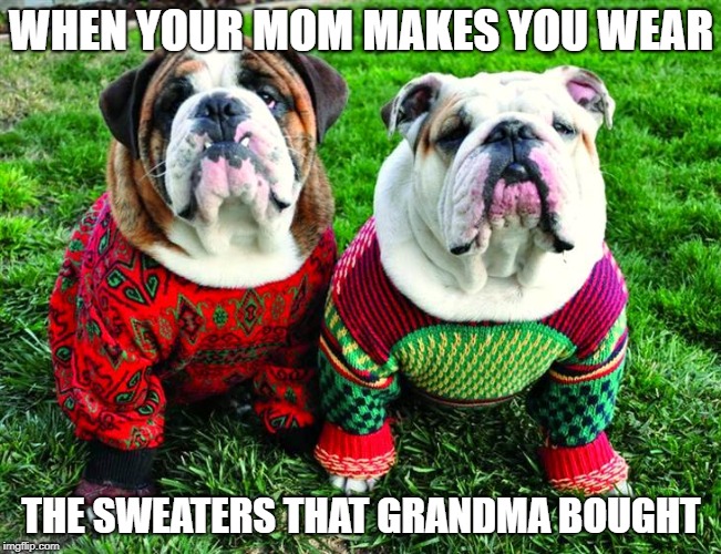 Ugly Sweater Dogs | WHEN YOUR MOM MAKES YOU WEAR; THE SWEATERS THAT GRANDMA BOUGHT | image tagged in dogs,christmas | made w/ Imgflip meme maker