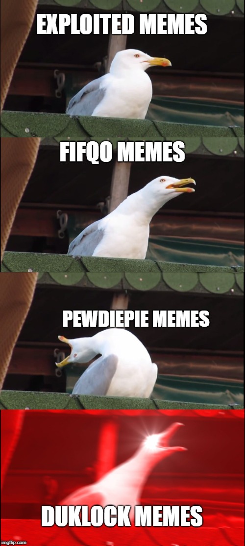 Inhaling Seagull Meme | EXPLOITED MEMES; FIFQO MEMES; PEWDIEPIE MEMES; DUKLOCK MEMES | image tagged in memes,inhaling seagull | made w/ Imgflip meme maker