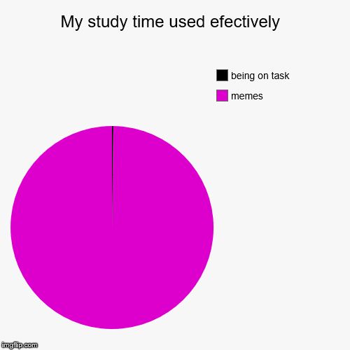 My study time used efectively  | memes, being on task | image tagged in funny,pie charts | made w/ Imgflip chart maker