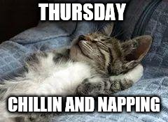 Thursday | THURSDAY; CHILLIN
AND NAPPING | image tagged in the chillin kitten,just chillin',chilling,memes,meme,cat | made w/ Imgflip meme maker
