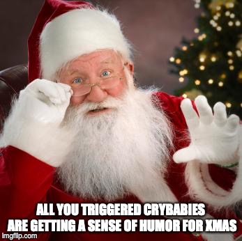 fuck comfortable santa | ALL YOU TRIGGERED CRYBABIES ARE GETTING A SENSE OF HUMOR FOR XMAS | image tagged in santa,pc,christmas | made w/ Imgflip meme maker