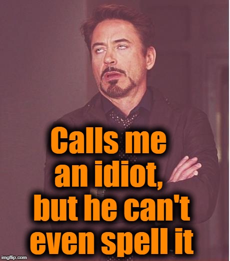 Face You Make Robert Downey Jr Meme | Calls me an idiot,  but he can't even spell it | image tagged in memes,face you make robert downey jr | made w/ Imgflip meme maker