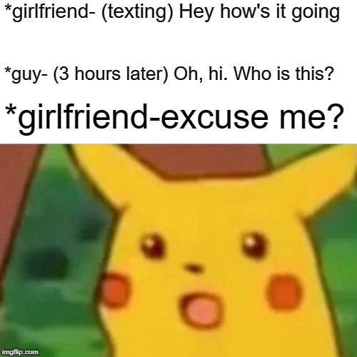 Surprised Pikachu Meme | *girlfriend- (texting) Hey how's it going; *guy- (3 hours later) Oh, hi. Who is this? *girlfriend-excuse me? | image tagged in memes,surprised pikachu | made w/ Imgflip meme maker