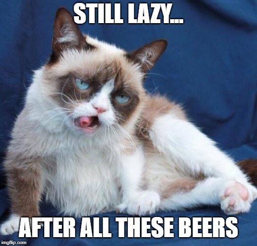 With Apologies To Paul Simon | STILL LAZY... AFTER ALL THESE BEERS | image tagged in grumpy cat drunk,memes | made w/ Imgflip meme maker