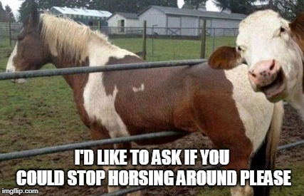 I'D LIKE TO ASK IF YOU COULD STOP HORSING AROUND PLEASE | made w/ Imgflip meme maker