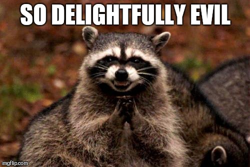 Evil Plotting Raccoon Meme | SO DELIGHTFULLY EVIL | image tagged in memes,evil plotting raccoon | made w/ Imgflip meme maker