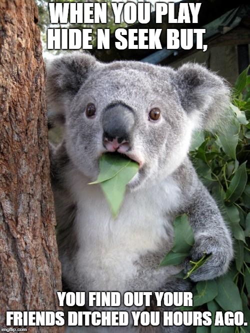 Surprised Koala Meme | WHEN YOU PLAY HIDE N SEEK BUT, YOU FIND OUT YOUR FRIENDS DITCHED YOU HOURS AGO. | image tagged in memes,surprised koala | made w/ Imgflip meme maker