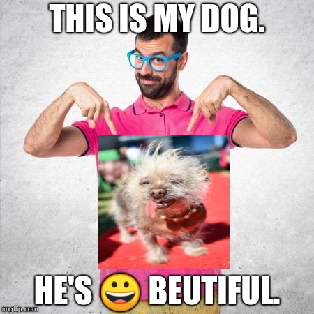 Ugly dog | THIS IS MY DOG. HE'S 😀 BEUTIFUL. | image tagged in ugly dog | made w/ Imgflip meme maker