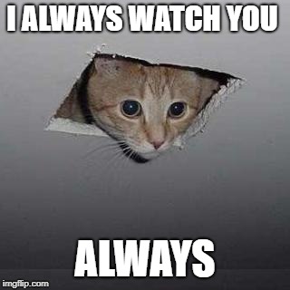 Ceiling Cat Meme | I ALWAYS WATCH YOU; ALWAYS | image tagged in memes,ceiling cat | made w/ Imgflip meme maker
