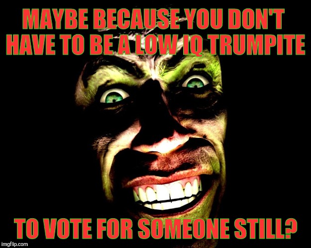 . | MAYBE BECAUSE YOU DON'T HAVE TO BE A LOW IQ TRUMPITE TO VOTE FOR SOMEONE STILL? | image tagged in g-man from half-life | made w/ Imgflip meme maker