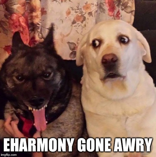 EHARMONY GONE AWRY | made w/ Imgflip meme maker