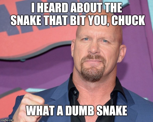 I HEARD ABOUT THE SNAKE THAT BIT YOU, CHUCK WHAT A DUMB SNAKE | made w/ Imgflip meme maker