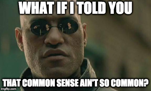 Matrix Morpheus Meme | WHAT IF I TOLD YOU; THAT COMMON SENSE AIN'T SO COMMON? | image tagged in memes,matrix morpheus | made w/ Imgflip meme maker
