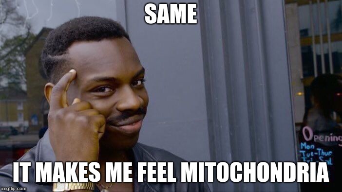 Roll Safe Think About It Meme | SAME IT MAKES ME FEEL MITOCHONDRIA | image tagged in memes,roll safe think about it | made w/ Imgflip meme maker