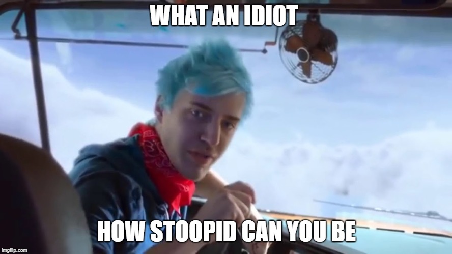 Ninja youtube rewind | WHAT AN IDIOT; HOW STOOPID CAN YOU BE | image tagged in ninja youtube rewind | made w/ Imgflip meme maker