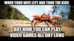 Crab rave gif | WHEN YOUR WIFE LEFT AND TOOK THE KIDS; BUT NOW YOU CAN PLAY VIDEO GAMES ALL DAY LONG | image tagged in crab rave gif | made w/ Imgflip meme maker