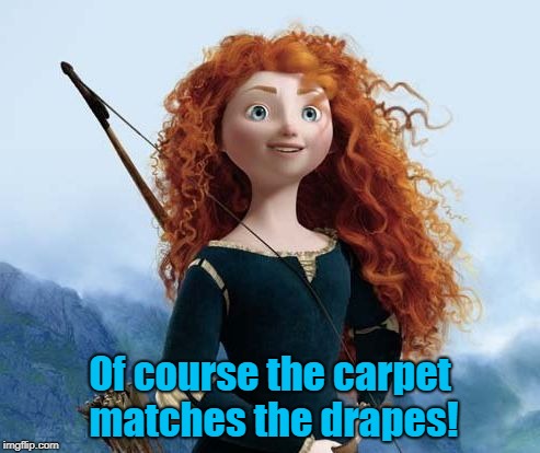 Merida Brave | Of course the carpet matches the drapes! | image tagged in memes,merida brave | made w/ Imgflip meme maker