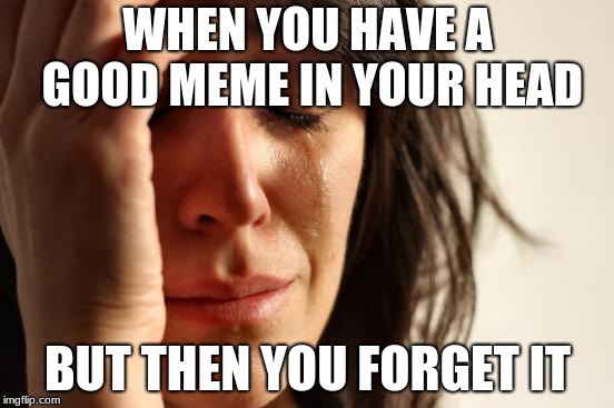 First World Problems Meme | WHEN YOU HAVE A GOOD MEME IN YOUR HEAD; BUT THEN YOU FORGET IT | image tagged in memes,first world problems | made w/ Imgflip meme maker