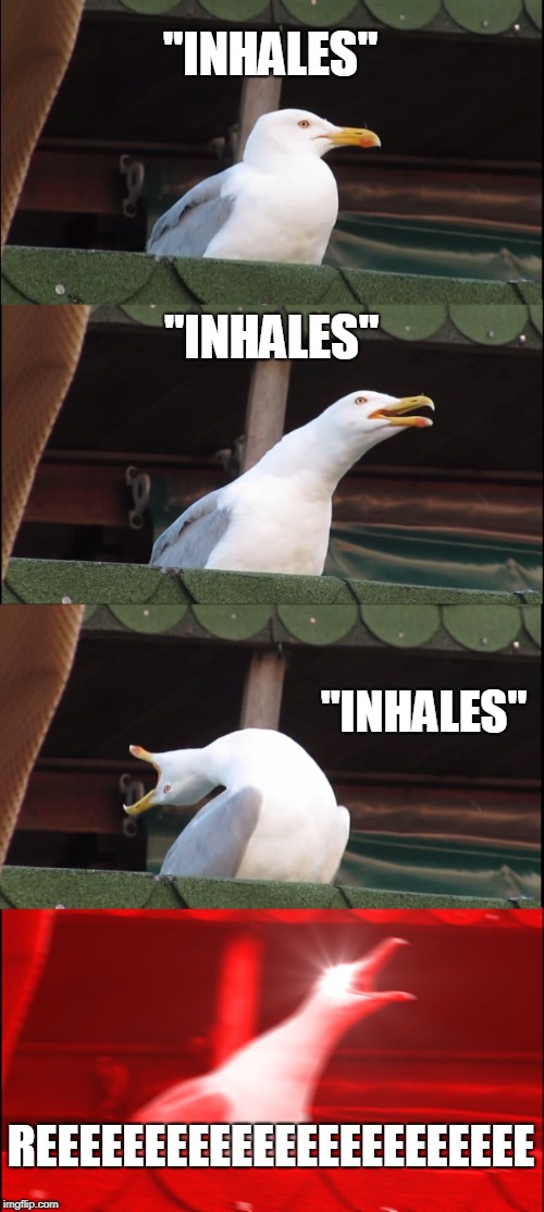 Heh... ree | "INHALES"; "INHALES"; "INHALES"; REEEEEEEEEEEEEEEEEEEEEEE | image tagged in memes,inhaling seagull | made w/ Imgflip meme maker