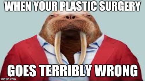 plastic surgery | WHEN YOUR PLASTIC SURGERY; GOES TERRIBLY WRONG | image tagged in walrus | made w/ Imgflip meme maker