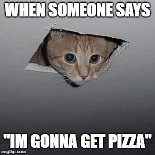 Ceiling Cat | WHEN SOMEONE SAYS; "IM GONNA GET PIZZA" | image tagged in memes,ceiling cat | made w/ Imgflip meme maker