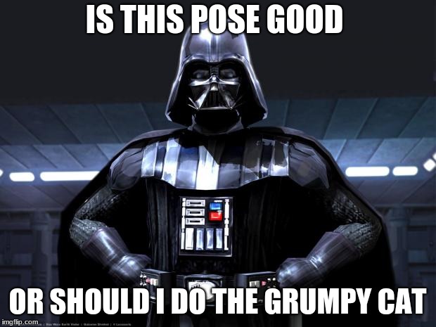 Disney Star Wars | IS THIS POSE GOOD; OR SHOULD I DO THE GRUMPY CAT | image tagged in disney star wars | made w/ Imgflip meme maker