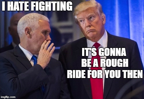 Trump Pence | I HATE FIGHTING IT'S GONNA BE A ROUGH RIDE FOR YOU THEN | image tagged in trump pence | made w/ Imgflip meme maker