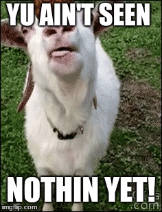 YU AIN'T SEEN; NOTHIN YET! | image tagged in scumbag | made w/ Imgflip meme maker