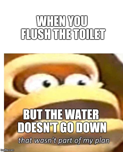 That wasn't part of my plan | WHEN YOU FLUSH THE TOILET; BUT THE WATER DOESN'T GO DOWN | image tagged in that wasn't part of my plan | made w/ Imgflip meme maker
