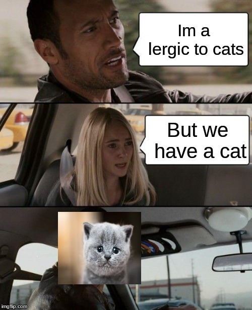 The Rock Driving Meme | Im a lergic to cats; But we have a cat | image tagged in memes,the rock driving,more cats,even more cats than this | made w/ Imgflip meme maker