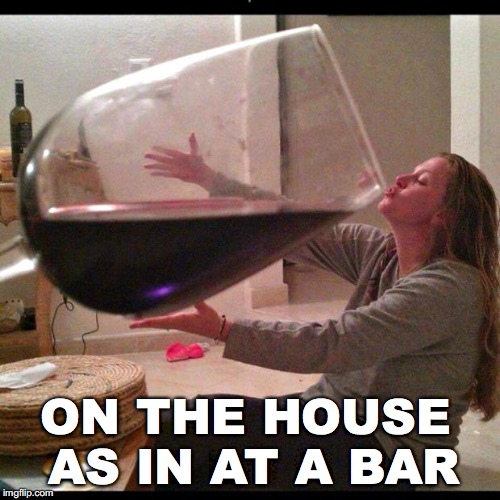 Wine Drinker | ON THE HOUSE AS IN AT A BAR | image tagged in wine drinker | made w/ Imgflip meme maker