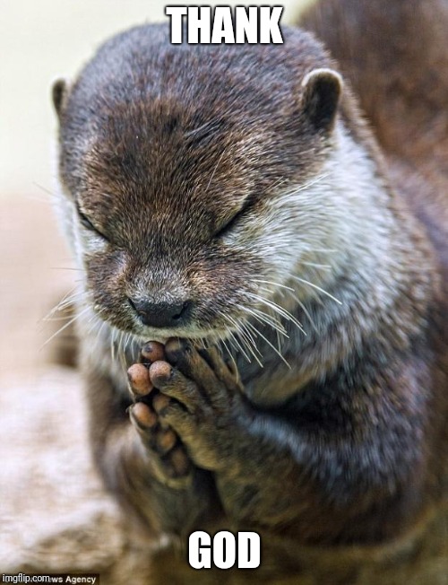 Thank you Lord Otter | THANK GOD | image tagged in thank you lord otter | made w/ Imgflip meme maker