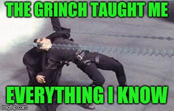 neo dodging a bullet matrix | THE GRINCH TAUGHT ME EVERYTHING I KNOW | image tagged in neo dodging a bullet matrix | made w/ Imgflip meme maker