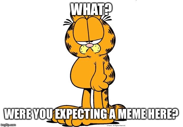 Garfield  | WHAT? WERE YOU EXPECTING A MEME HERE? | image tagged in garfield | made w/ Imgflip meme maker
