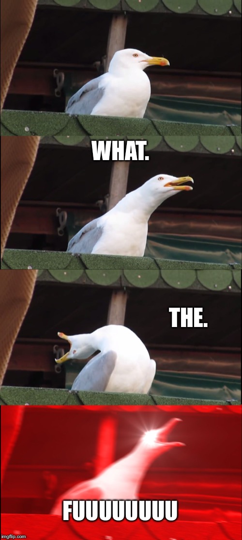 Inhaling Seagull | WHAT. THE. FUUUUUUUU | image tagged in memes,inhaling seagull | made w/ Imgflip meme maker